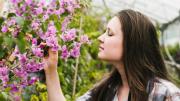 Esperando la primavera: estas 5 plantas no hay que podarlas en septiembre o generarás un daño irreparable
