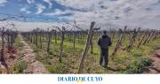 Hidráulica guardará agua de riego hasta el lunes, aprovechando las lluvias