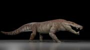 Descubren un nuevo cocodrilo en la Patagonia que convivió con los últimos dinosaurios