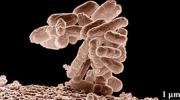 Científicos de Cambridge crean una nueva forma de vida más eficiente que la naturaleza