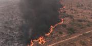 ABT inicia 77 procesos por incendios forestales, la mayoría en Santa Cruz