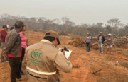 ABT inicia procesos administrativos y penales contra responsables de incendios forestales