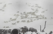 Ocho comunidades afectadas y 1.500 animales muertos por nevada en Cocapata