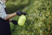 Distribuidores de Insumos Agropecuarios realizan su cumbre en Tucumán