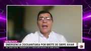 Gripe aviar en Santa Cruz: intervenciones inmediatas buscan contener el virus y proteger el abastecimiento