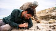 El nuevo streaming que promete ser furor: especialistas buscarán fósiles de dinosaurios