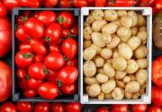 ¿Por qué el tomate y la papa no forman parte de la cocina tradicional china?