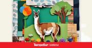 Feria Esteparia, un espacio para la producción local en Río Gallegos