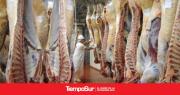Barrera sanitaria: una cautelar suspende por un mes el ingreso de carne con hueso a la Patagonia