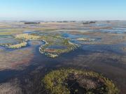 Se declaró la emergencia agropecuaria en distritos bonaerenses afectados por inundaciones