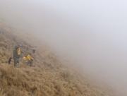 Tras incendio, guardaparques buscan proteger los nidales de los cóndores en Sama