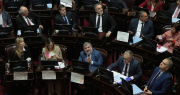 El Senado refrendó la Ley de Discapacidad y echó por tierra el veto de Milei: cómo votaron los sanjuaninos