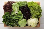 Los trucos de Paulina Cocina para guardar las verduras de hojas verdes