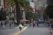 La Paz: Conductores que infrinjan restricción del Día del Peatón pagarán multa de Bs 300