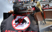 Corte colombiana avala ley que prohíbe corridas de toros, peleas de gallos y cabalgatas