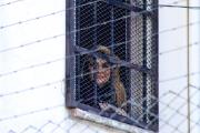 Tribunal ordena la liberación de Jeanine Áñez en caso Sacaba, pero seguirá en prisión