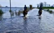 Emergencia agropecuaria en diez municipios