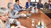 Senadora de Anta presentó un proyecto de emergencia sanitaria