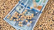 La represión de la inflación