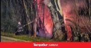Incendio de pastizales en Perito Moreno fue controlado por bomberos
