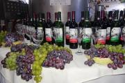 ANAVIT destaca calidad del vino tarijeño y critica el consumo de cerveza como bebida número uno