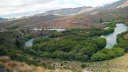 Pesca furtiva en el Limay: más de 20 truchas fueron secuestradas