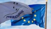 Acuerdo entre el Mercosur y la UE: “Vamos a tener mejores condiciones para vender al principal importador mundial”