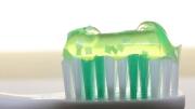 Pasta dental a base de algas revolucionaría la salud bucal: científicos revelan hallazgo
