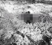 Encuentran cuerpo calcinado de un hombre en propiedad agrícola de Yapacaní