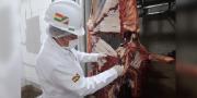 Bolivia logra apertura del mercado de Egipto para la carne bovina y aviar