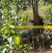 Un hombre y una mujer son encontrados sin vida y amarrados a un árbol en Pando