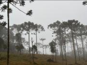 Ver nieve y sentir frío en el Brasil que los argentinos invaden por la playa y el sol