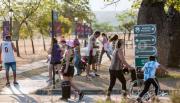 Clima en Salta: así estará el Día del Maestro y la celebración del Milagro en la previa de la primavera