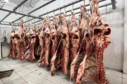 Bolivia concreta exportación de carne de res a Egipto