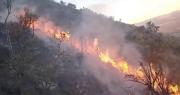 Los fuertes vientos no permiten controlar el incendio en la serranía de Tolata, el fuego continúa avanzando