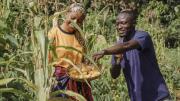 Argentina apunta a desarrollar producción agropecuaria en África