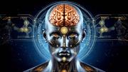 Nuestro cerebro abrió sucursales