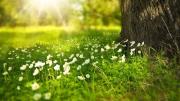 Primavera 2025: el SMN anticipa lluvias superiores a lo normal en Cuyo