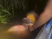 Se arrojó al río para buscar un pez y lo atrapó una enorme anaconda