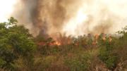“El Gobierno no manda la plata”: COE del Beni sólo tiene Bs 5.000 para atender incendios