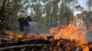 Santa Cruz declara alerta roja por los incendios forestales