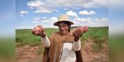Bolivia conmemora el Día Mundial de la Agricultura con un 21% de crecimiento en la producción