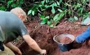 El Conicet lo hizo de nuevo: científicos encontraron rastros humanos en Misiones que cambiarían el curso de la historia