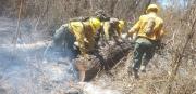 Gobernación de Santa Cruz reporta incendios activos y despliega más de bomberos