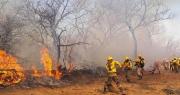 Gobernación cruceña alista declaratoria de emergencia por incendios