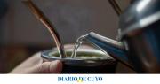 Ni 80° ni 100°: a qué temperatura tiene que estar el mate para que no te haga mal
