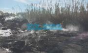 Otra vez fuego en un descampado de San Carlos