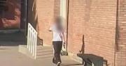 Adolescente dispara un arma y se atrinchera en un colegio de Argentina; Policía busca desarmarla