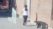 “Tiraba los tiros al aire o al piso”: el escalofriante relato de una compañera de la alumna atrincherada