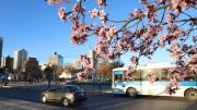 Tras el viento y el frío, se viene una primavera anticipada en Neuquén
